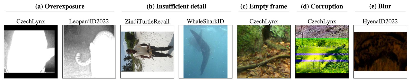 Examples of challenging images