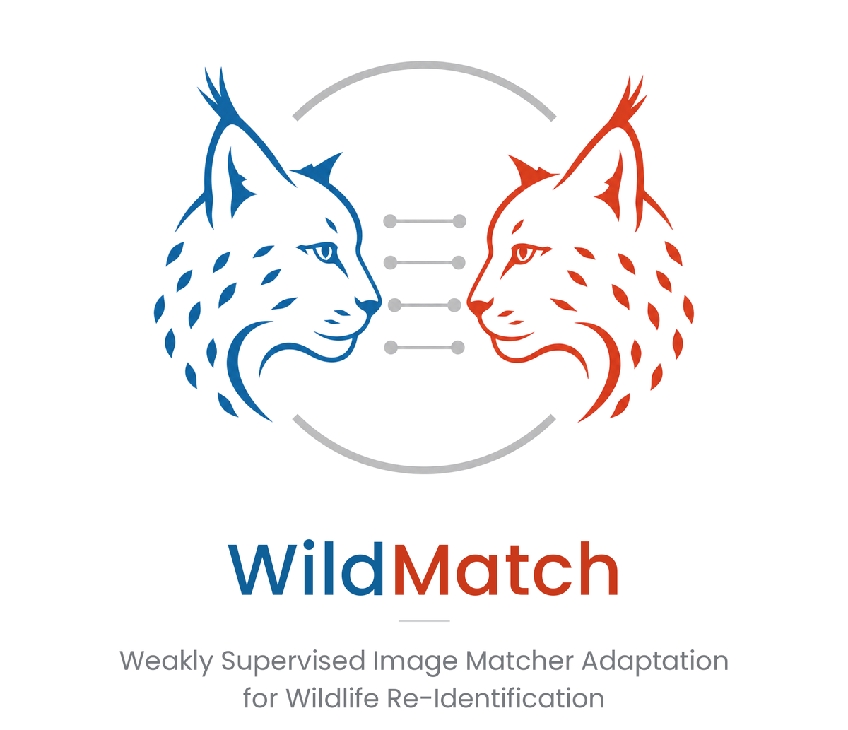WildMatch